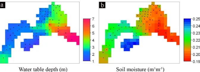 Fig. 3. The interpolated raster maps for (a) water table depth and (b) soil moisture of the upper 5 cm