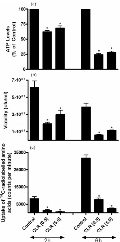 Figure 3. Effects of exposure (for 2 and 6 hours) of a nu-merically standardised suspension of strain 2507 of S