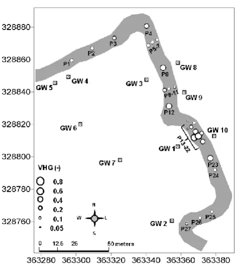 Fig. 6. Spatial patterns of average vertical hydraulic gradients atstreambed piezometers (P) for 7 sampling dates between 21 May–30 September 2009 (see Table 1 for the exact dates).