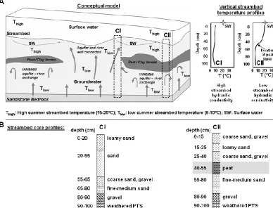 Fig. 2. (A): conceptual model of streambed hydrofacies controlling groundwater up-welling in a typical lowland river including their effecton heat transport at the aquifer–river interface (the star indicates the temperature of the surface water)