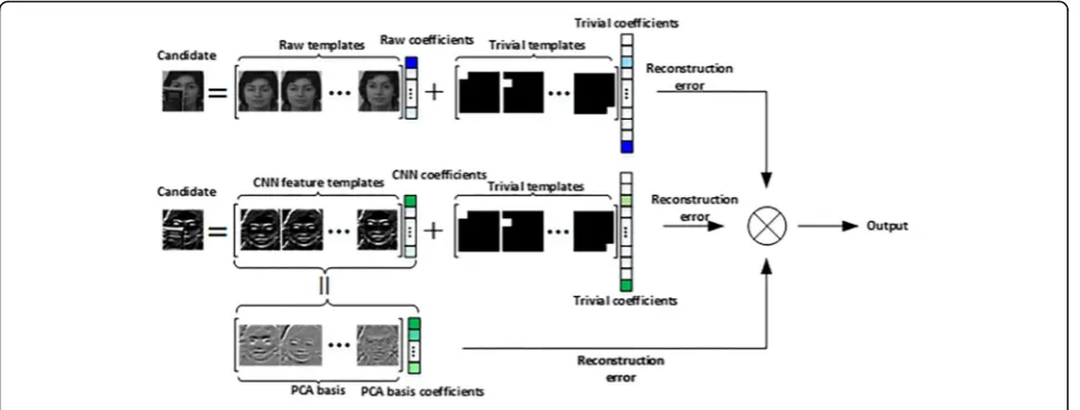 Fig. 1 Overall sparse model with CNN features