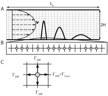 Figure 2-1: Illustration of the KMC algorithm (a) Two-dimensional rectangular domain discretized with lattice spacing 
