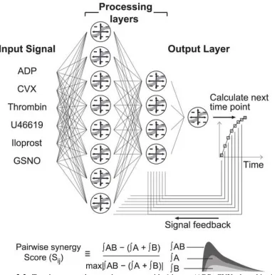 Figure 3-2:  Two-layer neural network structure with 6 inputs (ADP, CVX, thrombin, U46619, Iloprost, GSNO) to predict platelet calcium trace  