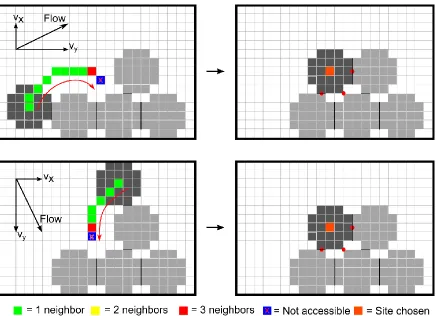 Figure 3-18: Remodeling algorithm for platelet deposition.  Upon binding, the number of contacts the adhering platelet experiences (color coded at each cell center position along the trajectory) is calculated until forbidden overlap is achieved, whereby th