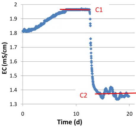 Fig. 5. Elevation of the hydraulic heads observed in the deep sub-aquifer in gray (measured in pipe D, Fig