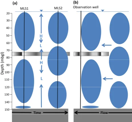 Fig. 8. Schematic representation of ﬂow regime end members nearthe observation well. Blue ellipses present the water bodies inferredin the PCA of MLS1 (left) and MLS2 (right)