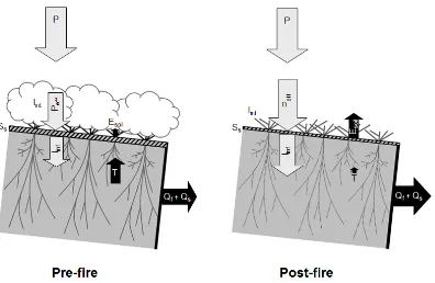 Fig. 11.2  Fire impact on hydrology, showing pre- and post-ﬁre water ﬂuxes and rainfall partitioning