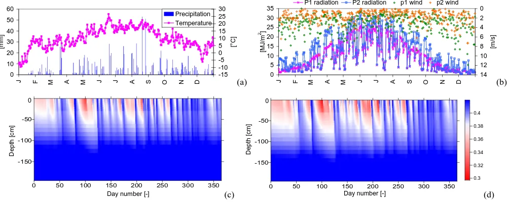 Fig. 6. Meteorological inputs and simulated soil moisture time series at P1 and P2.(c) (a) Precipitation and temperature, (b) radiation and wind, soil moisture proﬁle at P1 and (d) soil moisture proﬁle at P2.