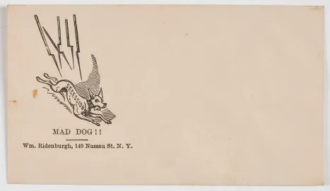 Figure 8  “Illustration of “J.D.” (Jefferson Davis) as a Mad Dog, on a New  