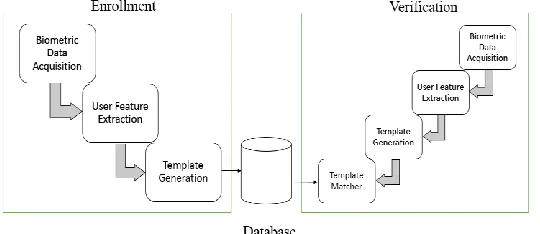 Fig. 5. Enrollment and Verification in Biometric Authentication 