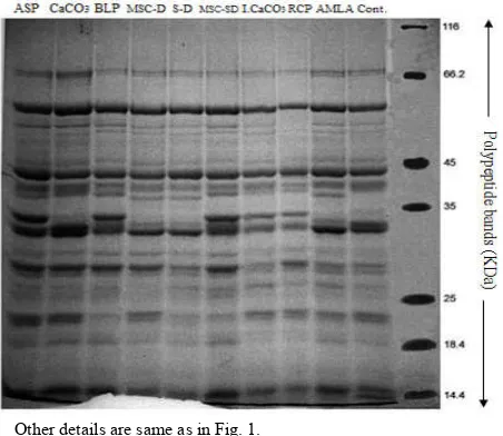 Fig. 1. Peptide profile of treated and untreated field pea seeds at before ageing condition 