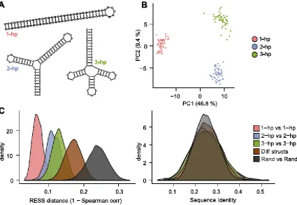Figure 2-2. Structurally similar sequences are clustered together in the RESS.  