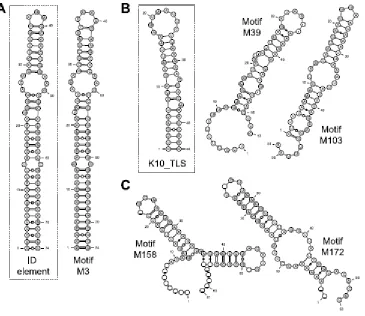 Figure 2-5. Consensus structures of motifs that are enriched in dendritically 