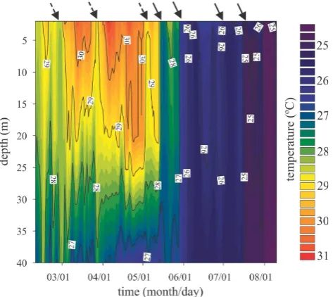 Figure 4: Temporal evolution of the thermal structure (upper panel) and the Wedderburn  and Lake numbers (lower panel) at Station 13