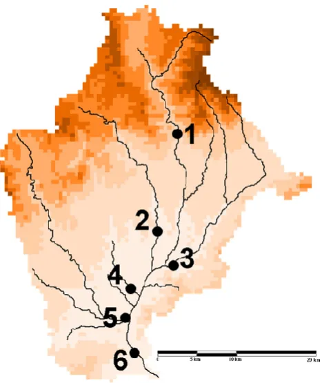 Table 1. Rainfall amount and intensity for the four study eventsover the entire domain of Catalonia and over the Bes`os Basin.