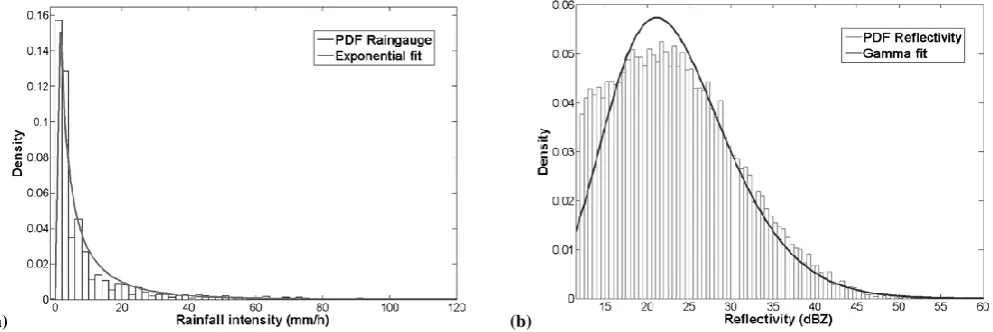 Fig. 4. Examples of a rain gauge (a) and weather radar reﬂectivity (b) independent window.