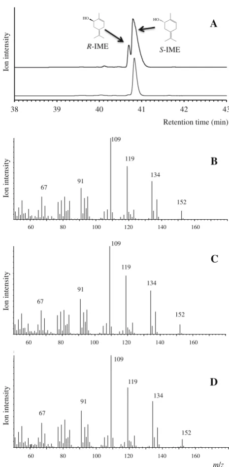 Fig. 1 Results of the chiral GC/MS of chemical synthesized IMEsmass spectrum of the peak at Rtmass spectrum of the peak at Rtthe peak at retention time (Rt)and enzymatic produced IME