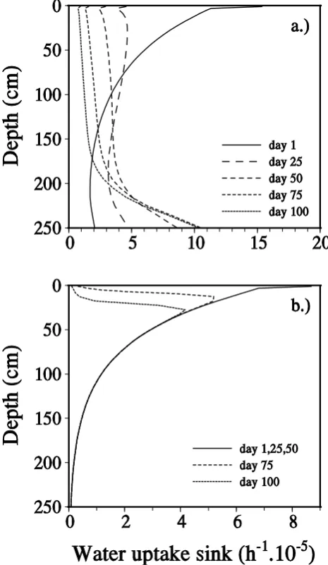 Fig. 7. Water content proﬁles for a sandy soil (Table 1) after a 100day dry-down period with a water table at 3m depth, simulated withuptake compensation (Eqs