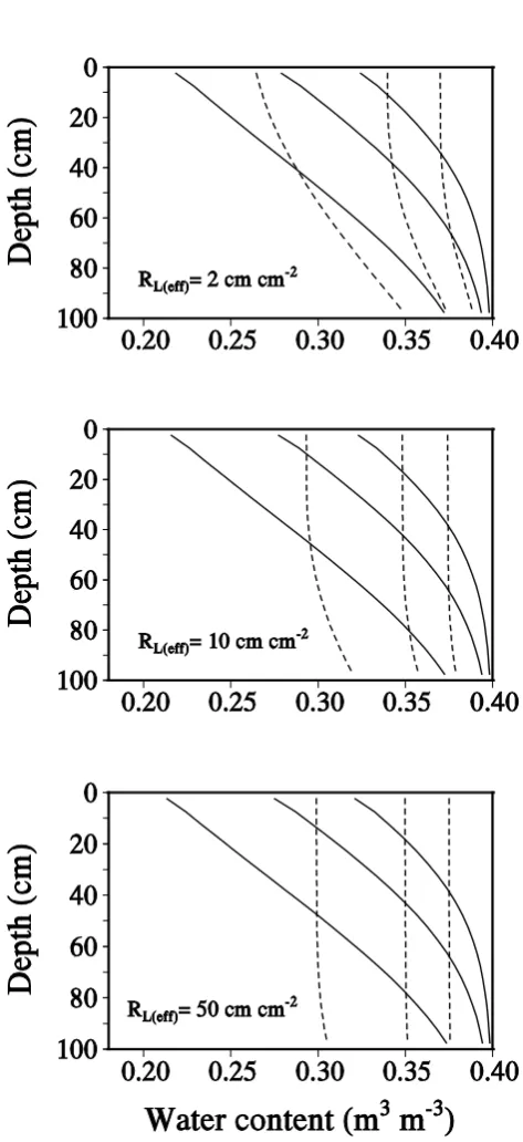 Fig. 2. Water content distributions during dry-down from satura-tion, simulated with Eqs