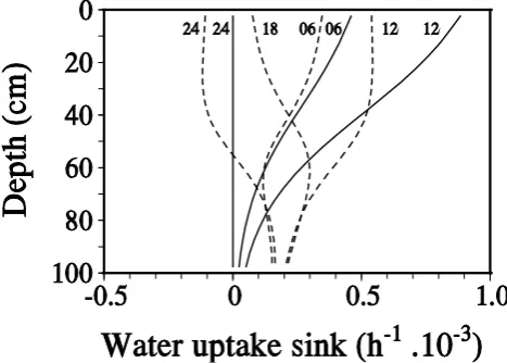 Fig. 4. Diurnal variations in the water uptake sink on day 10 ofor Eq. (17) (solid lines), for the case of moderate compensation(a 20-day dry-down period from saturation, simulated with equa-tions 1 to 4, assuming M0 to be given by Eq