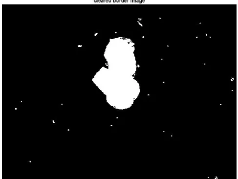 Figure 1. Grayscale image of the sample 