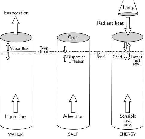 Fig. 1. Diagram of the design of the evaporation column experi-ments and their conceptual model from day one (saturation) to theend of the experiment (oven dry conditions)