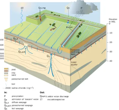 Fig. 1. The geohydrology and water and salt ﬂuxes in a lowland polder catchment area. Upward groundwater seepage from the upper aquifercan be divided into three different types according to De Louw et al