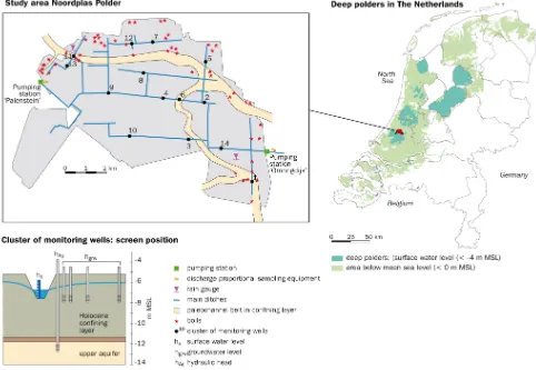 Fig. 2. Set up of the monitoring network of the Noordplas Polder and the location of the sandy paleochannel belts and boils (adapted fromDe Louw et al., 2010).