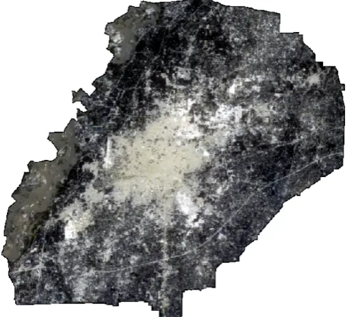 Figure 3. Satellite image of the study area. 