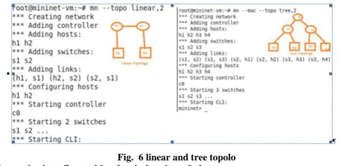 Fig.  5 minimal and single topology 