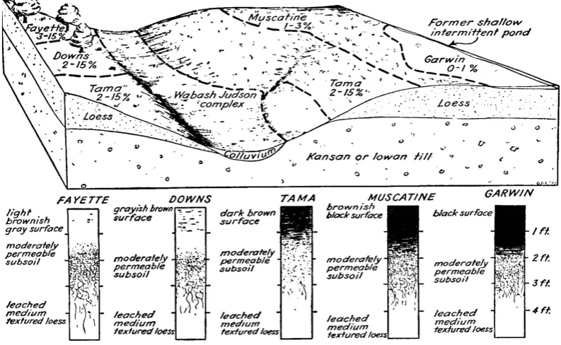 Fig. 1. Block diagram of soils in an Iowa catchment, USA, showing characteristic differences of soil types on the plateaus, the slopes andthe valleys and demonstrating the importance of the soil forming factors parent material and topography.