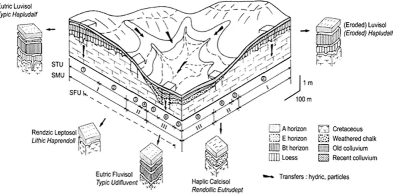 Fig. 2. Block diagram from the basin of Paris, illustrating the occurrence of different types of soil at different positions in the landscape