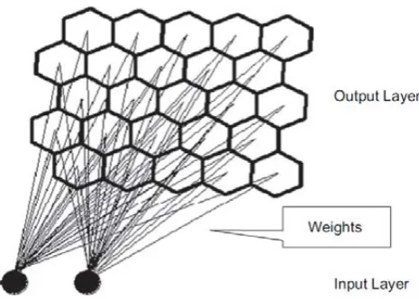 Fig. 1. Structure of a 5 × 5 two-dimensional self organizing map(SOM) (after Kalteh et al., 2008)