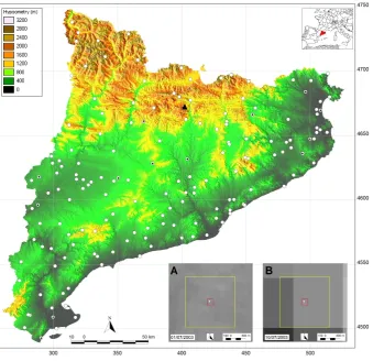 Fig. 1. Location of SMC meteorological stations and Vallcebre research catchments in Universal Transversal Mercator (UTM) projection(UTM coordinates are expressed in km)