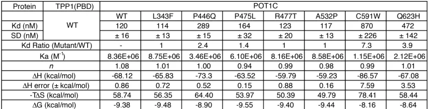 Table 3: ITC binding data for wild type and mutant POT1C proteins with TPP1(PBD) 