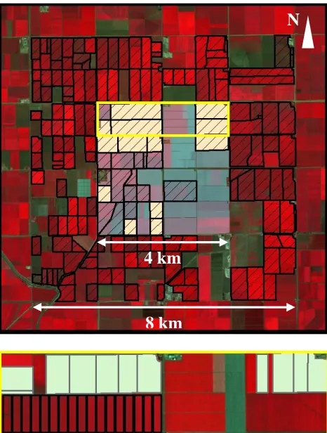 Figure 1. The 8×8 km² study area delineated on a Formosat-2 image, with its 4×4 km² central part  Fig