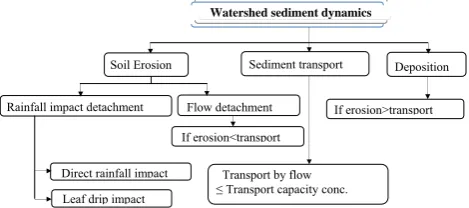Fig. 1. Fig. 1. Process-based approach of watershed sediment dynamics (after Foster, 1982)