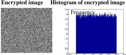 Fig. 3 Histograms of the plain image and ciphered image  