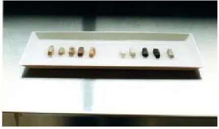 Figure 1. Samples of different materials conditioned to ab-sorb the labeled solution.  