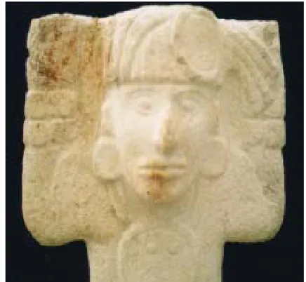 Figure 8. Aztec little rabbit after longer than five years treatment.  