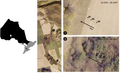 Fig. 3.Fig. 3. RARE study sites RARE study sites.