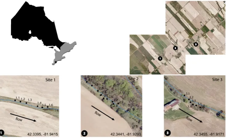 Fig. 3. RARE study sites