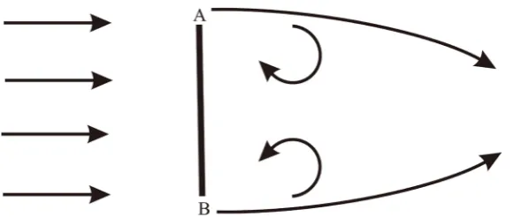Figure 3. Shown is a thin plate located perpendicular to the running flow. The thickness of its slides at points A and B is much less than the diameter of the vortices occurring behind the plate