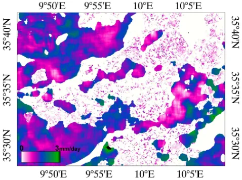 Fig. 13. Example of soil evaporation mapping over olive tree andwheat classes of land use on 7 March 2009.