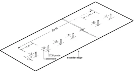 Fig. 1. View of the experimental plot displaying relative position ofTDR probes and 0.3 m depth tensiometers.