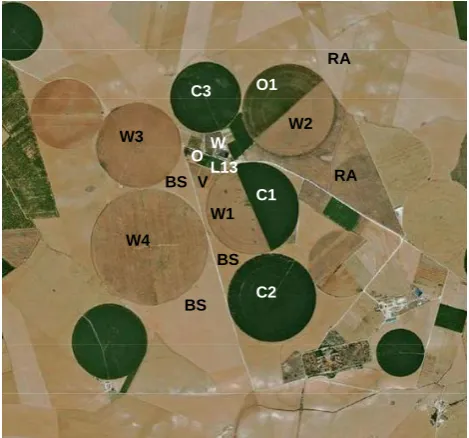 Fig. 1. Study area and ﬁelds codes.