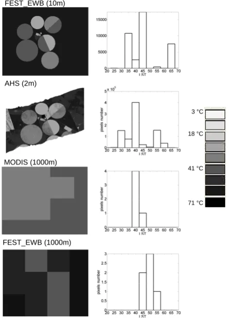 Fig. 4.Frequency distribution for LST from AHS, FEST-EWB(10 m–1000 m) and MODIS for 13 July at 13:45.