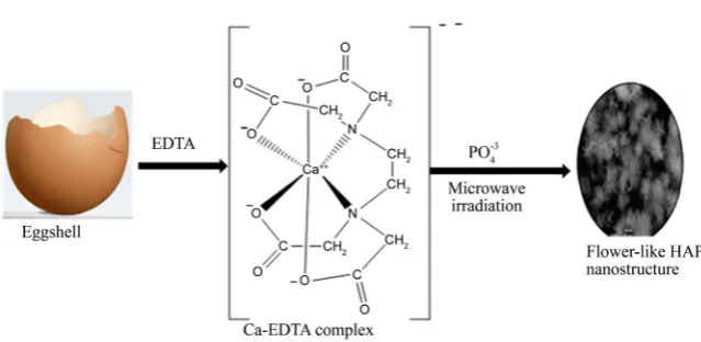 Figure 1. Microwave irradiation method to prepare hydroxyapatite nanostructure from egg shell (adapted from Ref