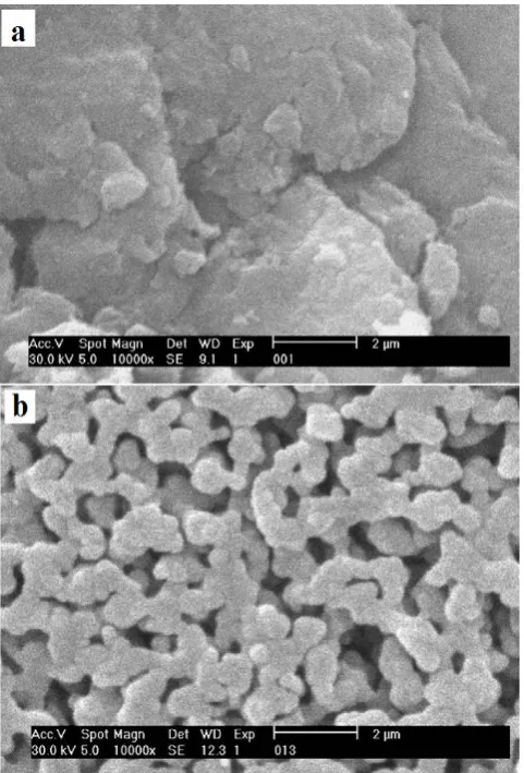 Figure 2. Scanning electron microscope image of sample calcined at 900˚C [8].  