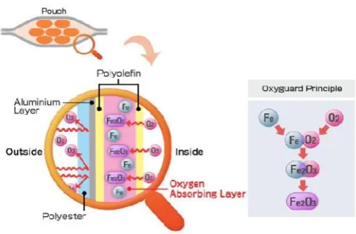 Fig. 1. Active Packaging systems available commerciallyFig. 1. Active Packaging systems available commerciallyFig